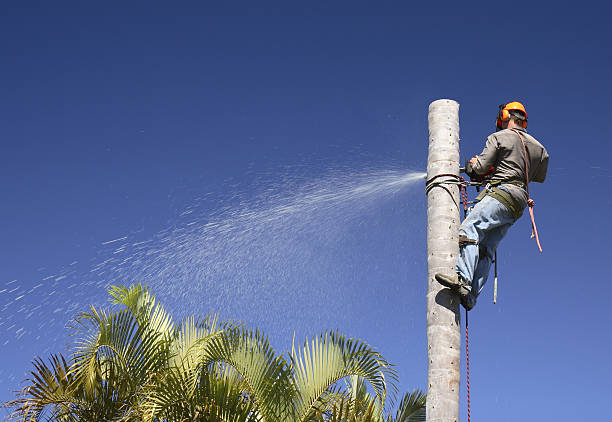 Lawn Irrigation Installation and Maintenance in San Angelo, TX